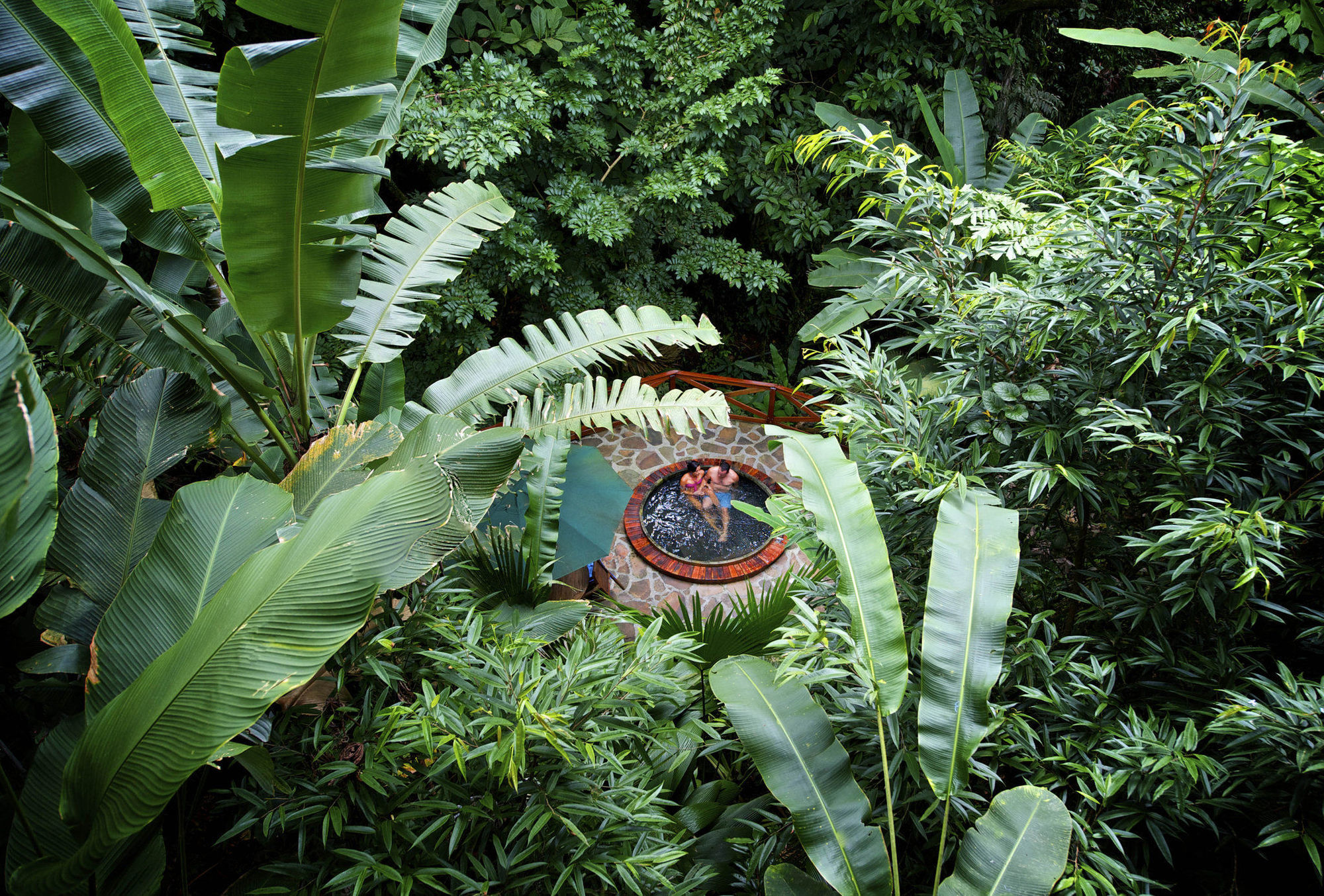 La Fortuna Nayara Gardens酒店 设施 照片